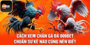 Cách xem chân gà đá 1