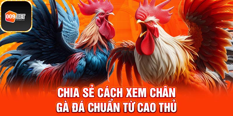 Cách xem chân gà đá 4