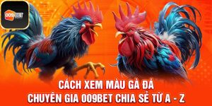 Cách xem màu gà đá 1