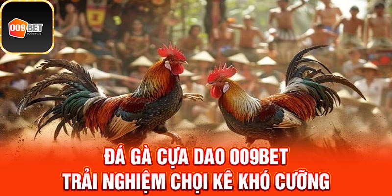 Đá gà cựa dao 1