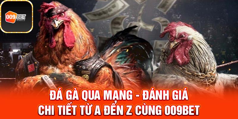 Đá gà qua mạng 1