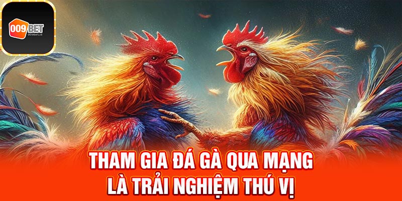 đá gà qua mạng 2