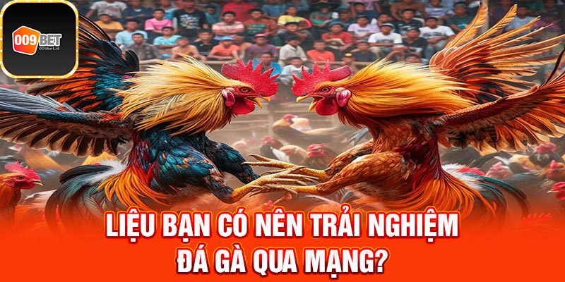 đá gà qua mạng 3