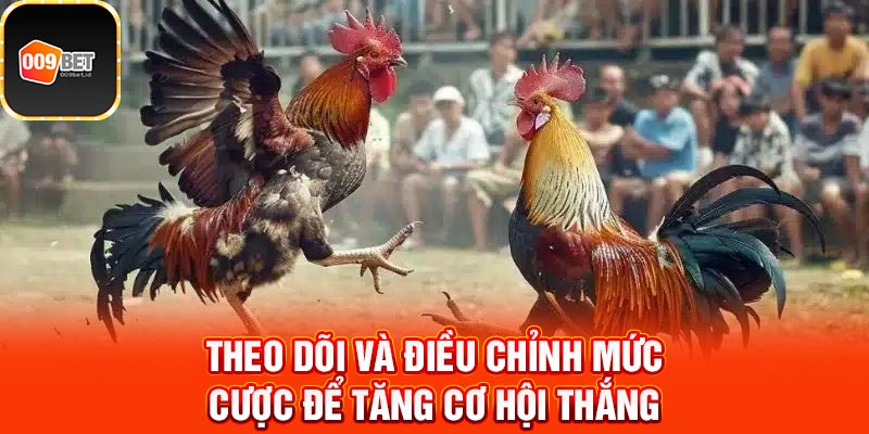 đá gà trực tiếp C1 3
