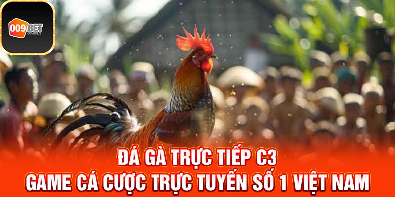 Đá gà trực tiếp C3 1