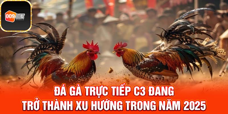 Đá gà trực tiếp C3 4